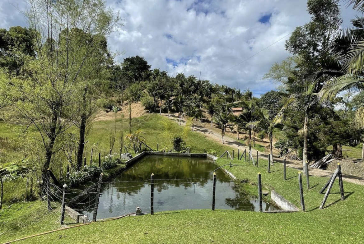 finca aguacatera, finca de trabajo, finca oriente