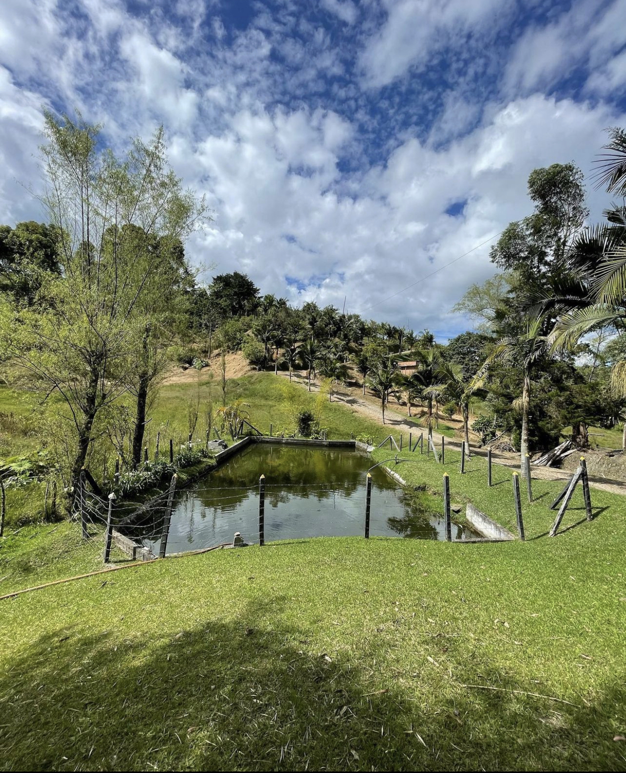 finca aguacatera, finca de trabajo, finca oriente