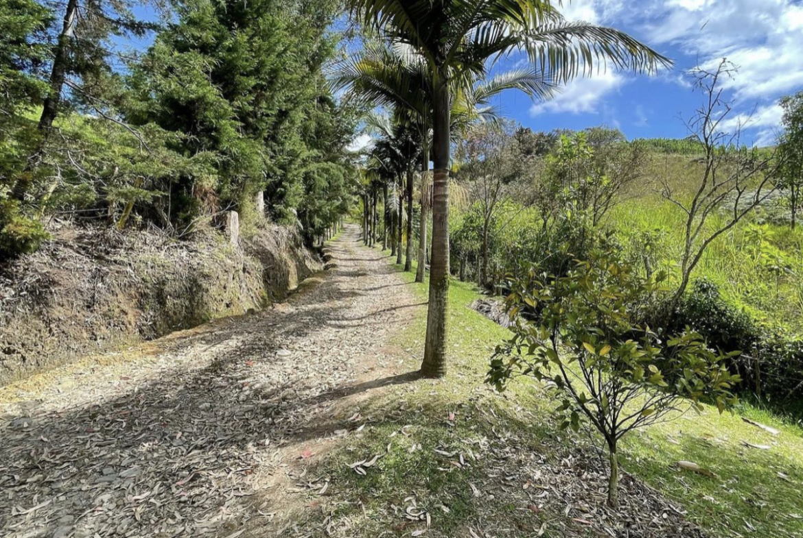 finca aguacatera, finca de trabajo, finca oriente