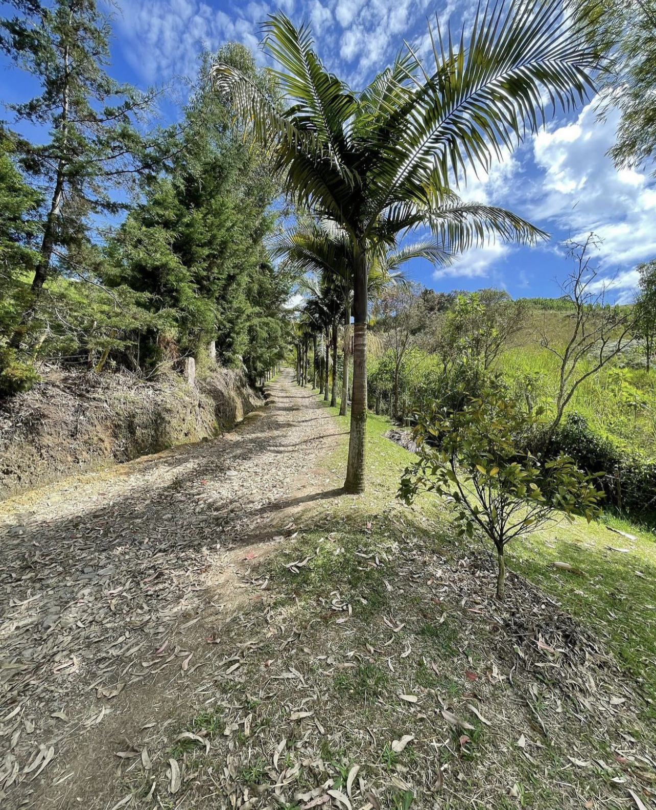 finca aguacatera, finca de trabajo, finca oriente