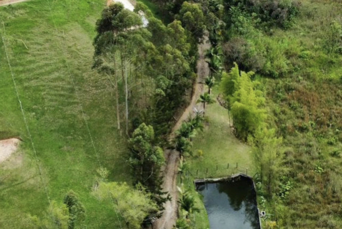 finca aguacatera, finca de trabajo, finca oriente